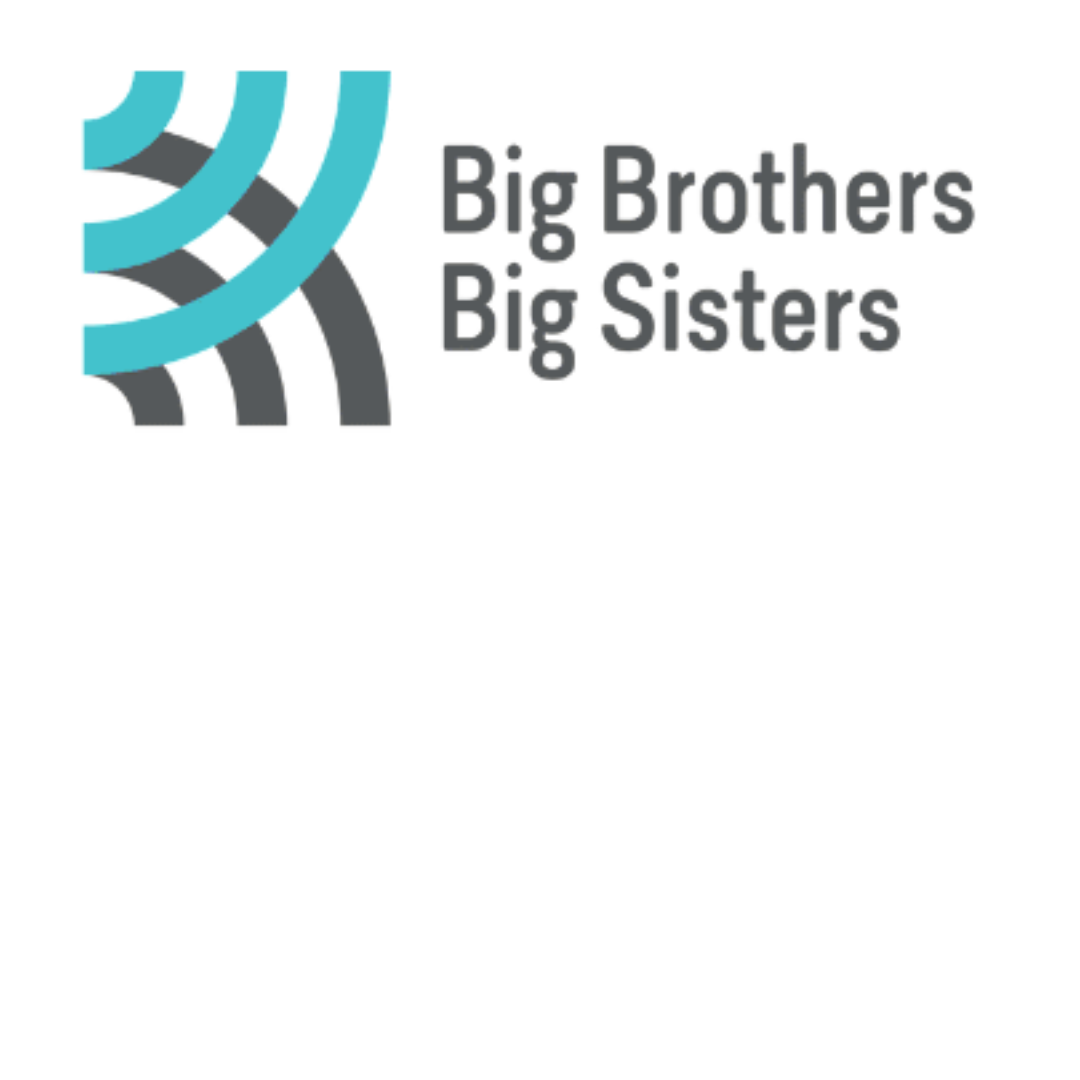 Flipper Big Bros Big Sis Logo community page-1